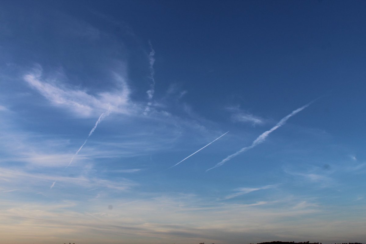 Benedict tweet media