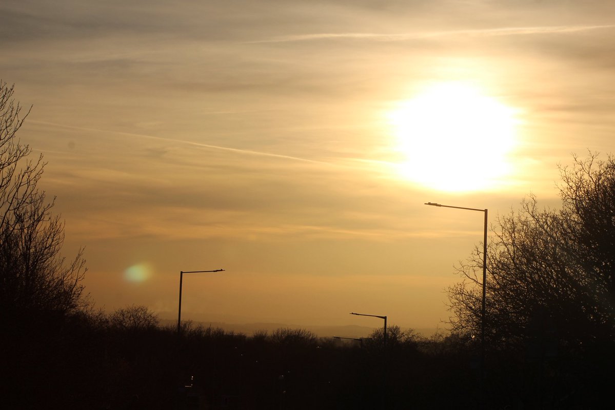 Benedict tweet media