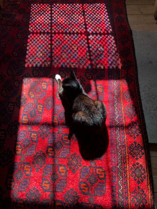 Spitalfields Life tweet media