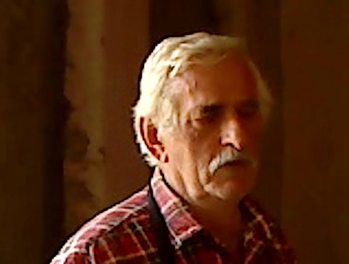 Cinema Guild tweet media