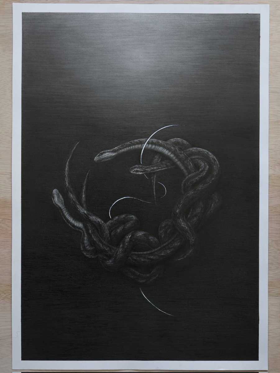Amor fati / 

Fate coils around itself. Life happens in between.

Graphite and gouache on paper, 2026
70x100 cm