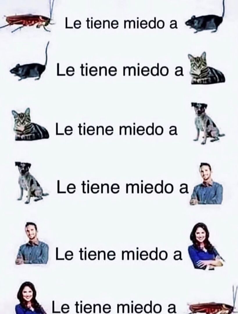 topmejorvirales's tweet image. #risas #jajaja #viral #ironia #gracioso #divertido