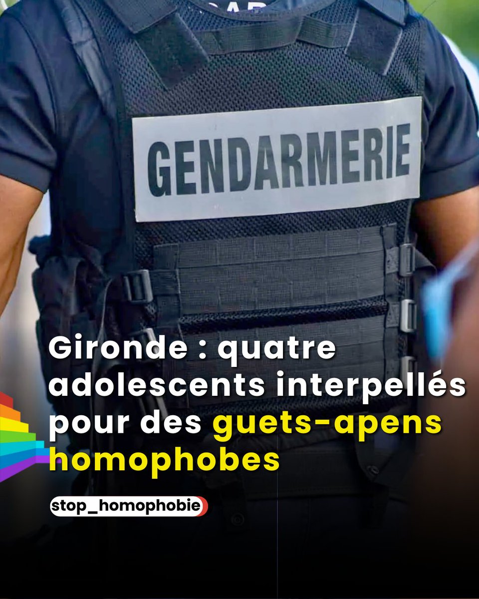 STOP HOMOPHOBIE tweet media