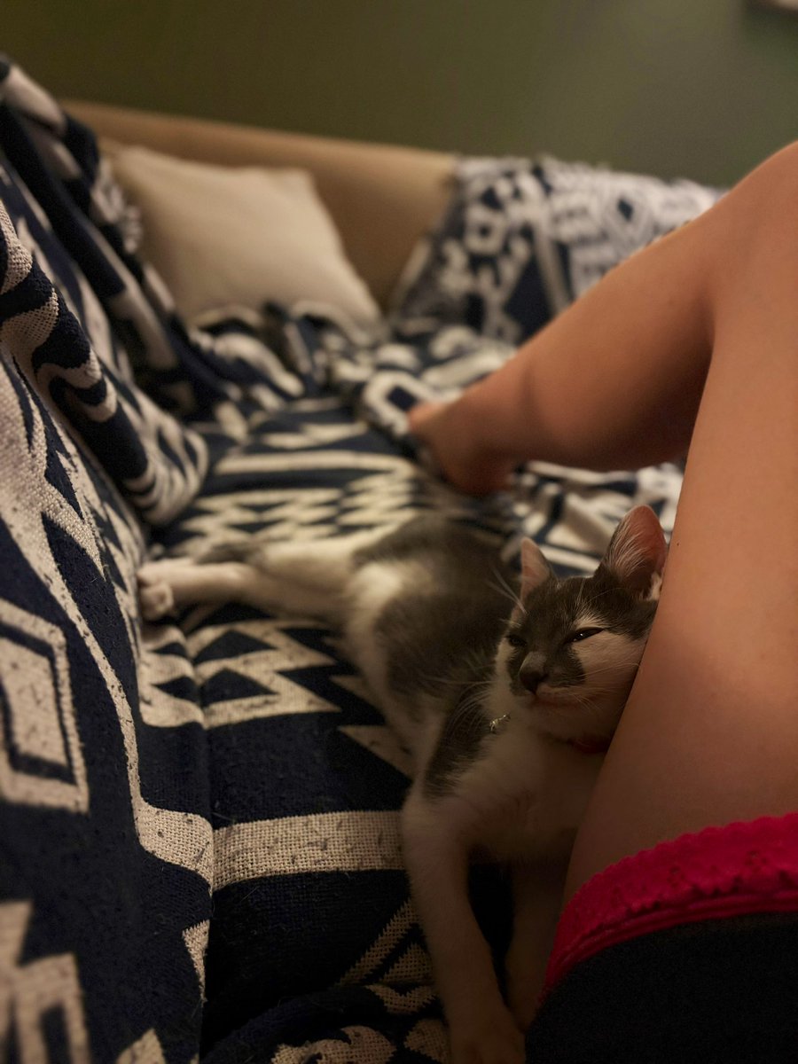 Babytjie tweet media