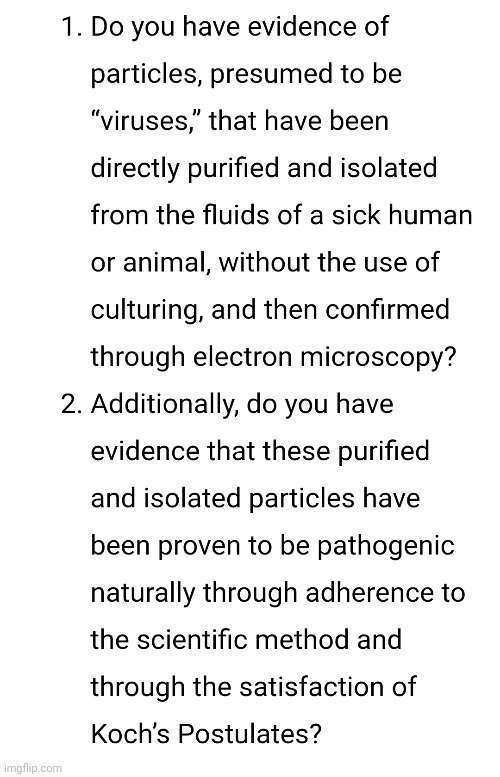 hamhead.eth tweet media