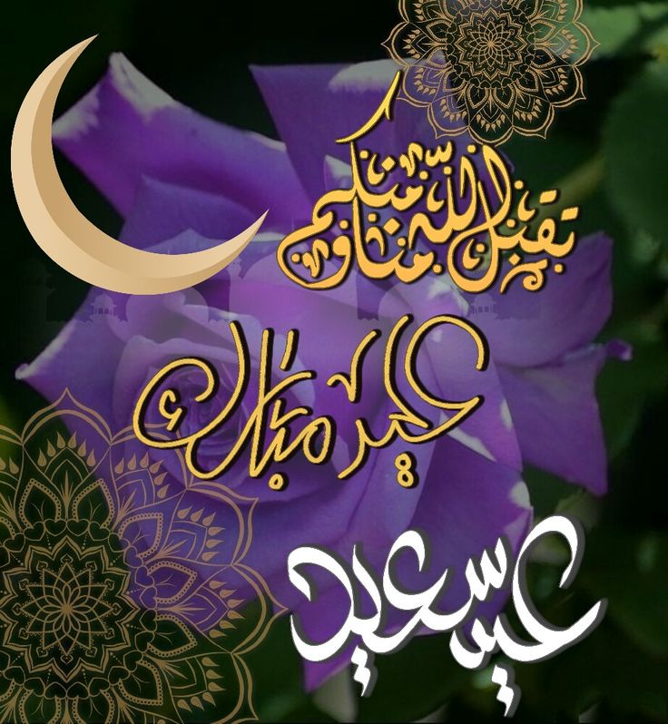 المكابيلي دمعة وابتسامة tweet media