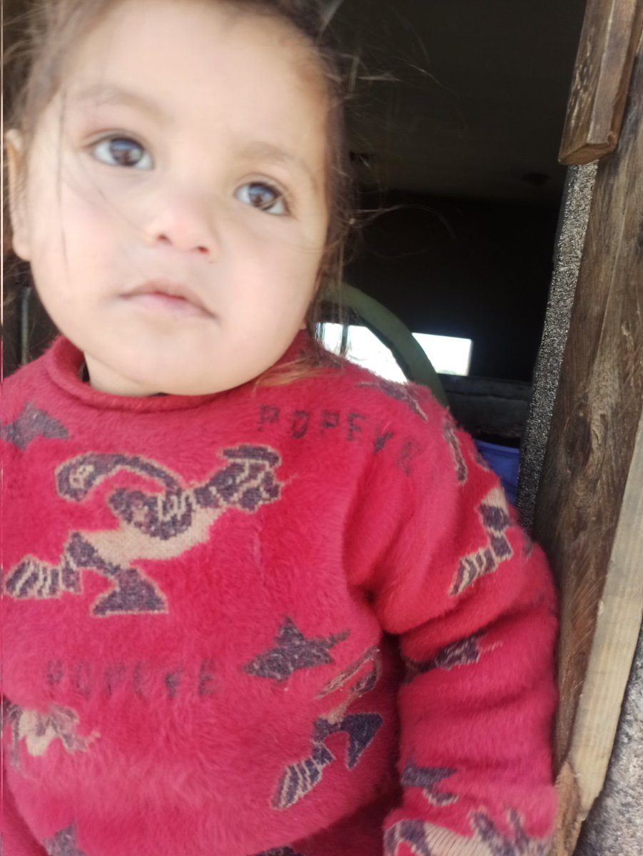 omar almasri 🇵🇸 tweet media