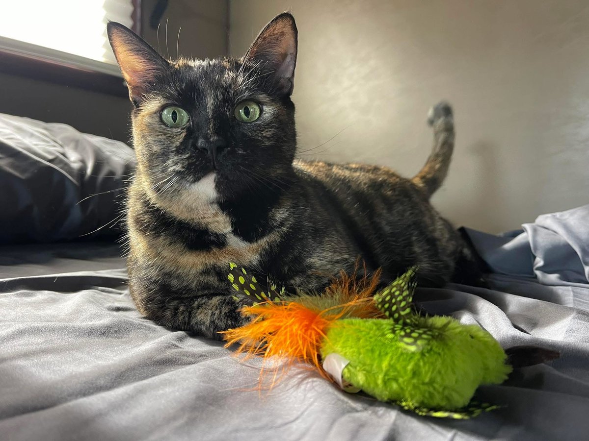 Living Like Outlaws tweet media