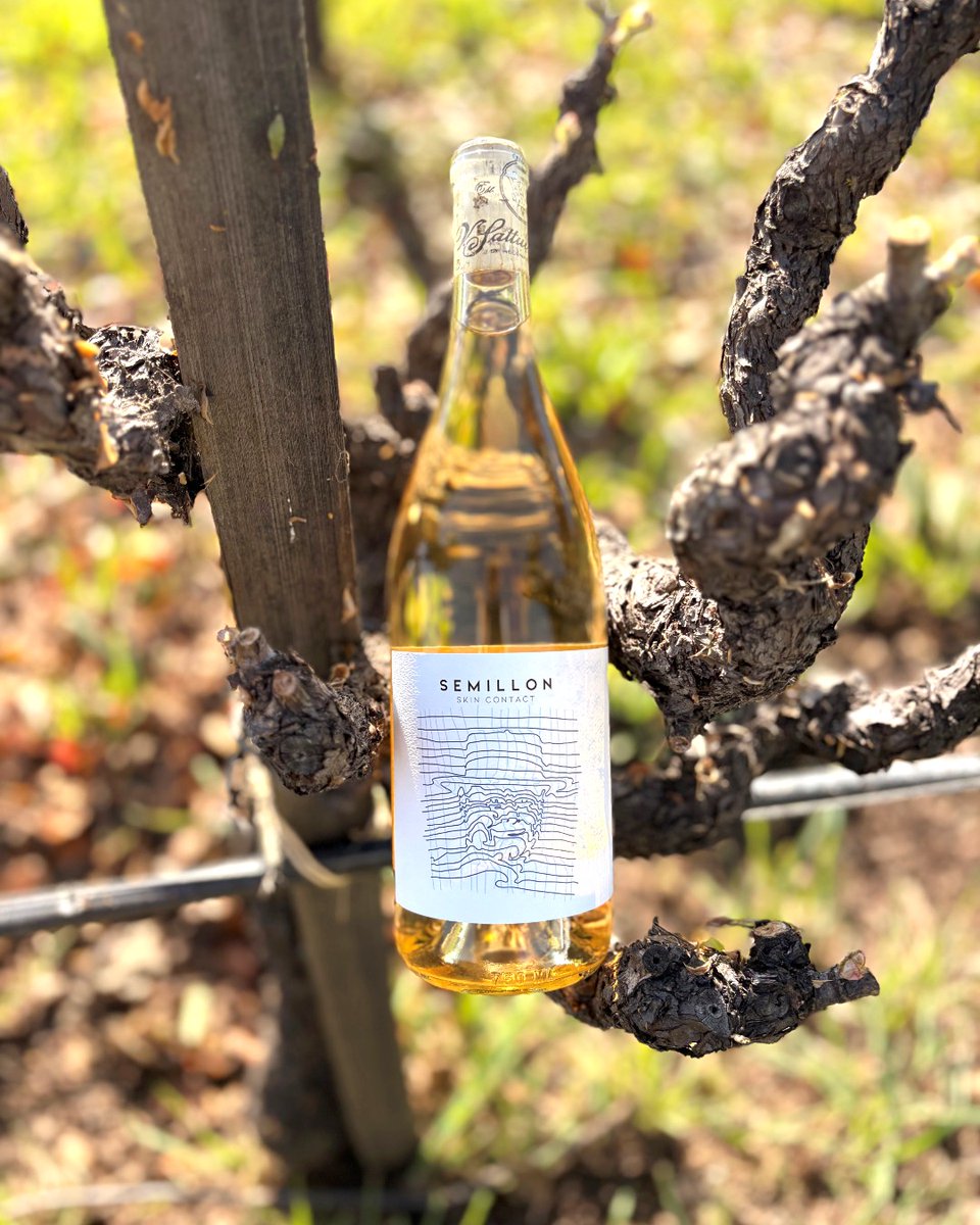 V. Sattui Winery tweet media