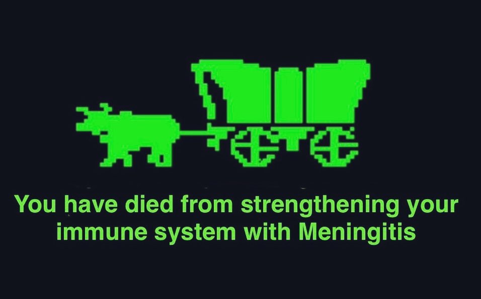 acrossthemersey's tweet photo. I’ve come across a few “meningitis is a hoax” posts, so unfortunately this will be necessary. https://t.co/VFLdJWNfUI