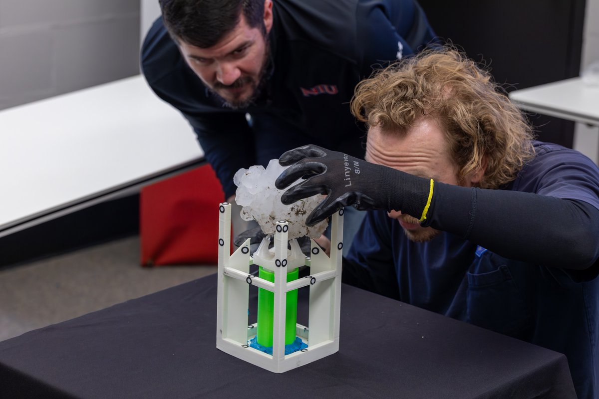 Insurance Institute for Business & Home Safety tweet media