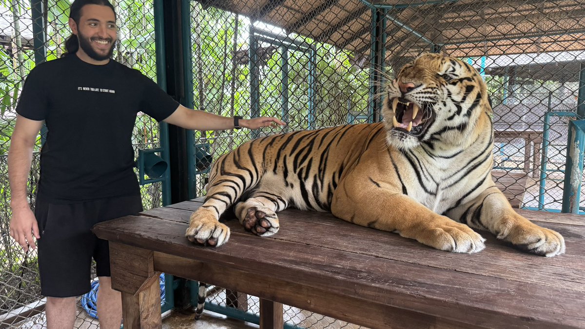 يوسف tweet media