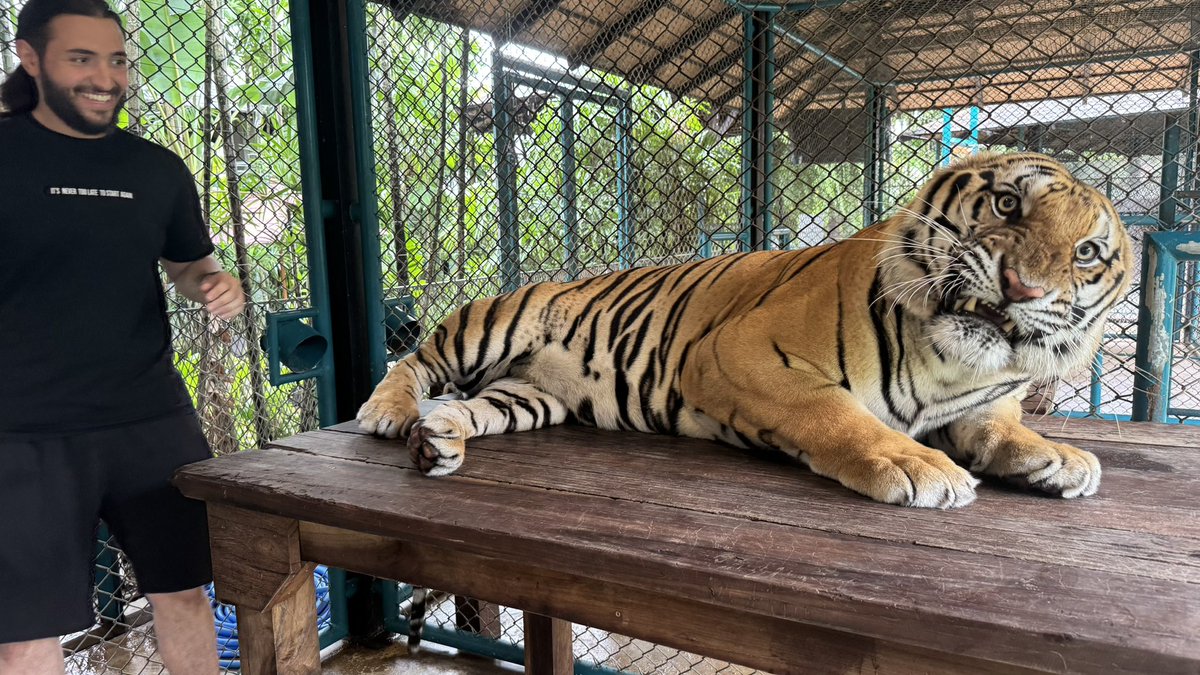 يوسف tweet media