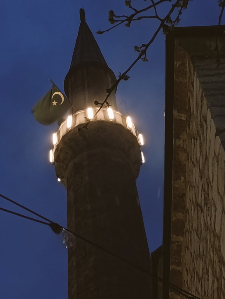 Fatih Dalgalı tweet media