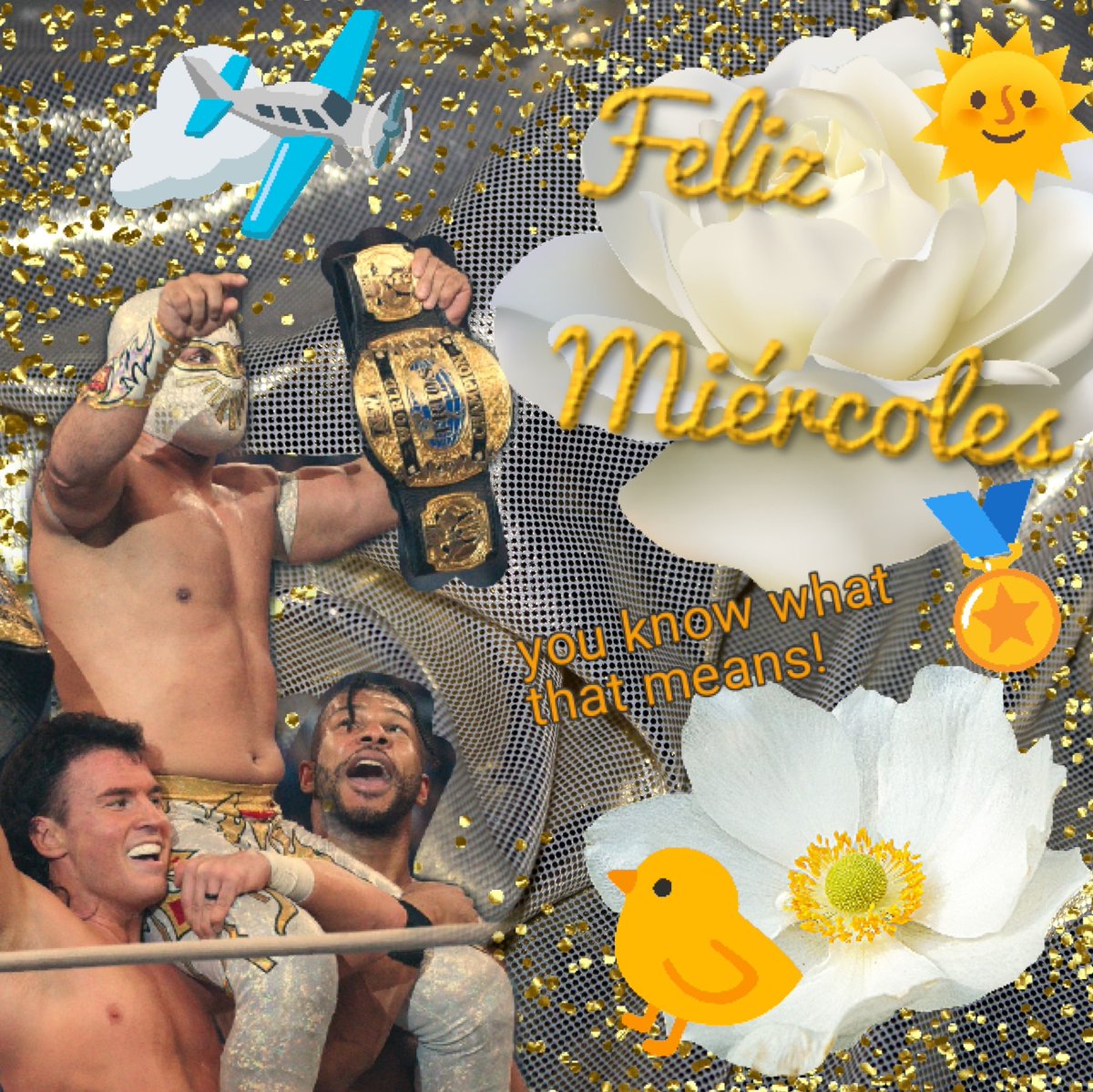 🏳️‍⚧️🤼‍♀️ rooster booster tweet media