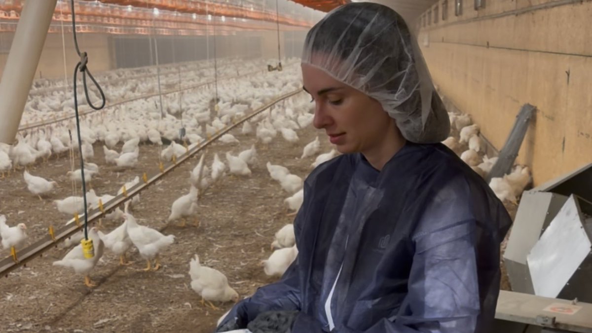 Harvard SEAS tweet media