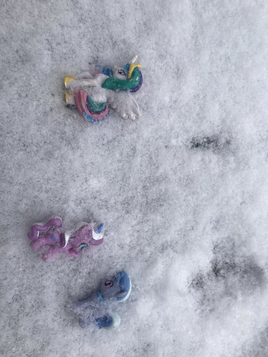 horsettia tweet media