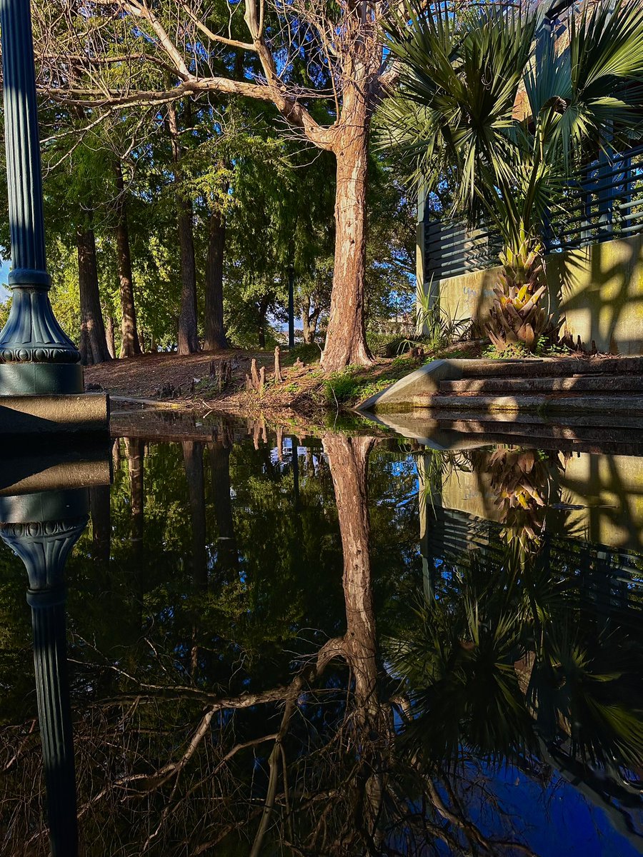 options gypsy tweet media