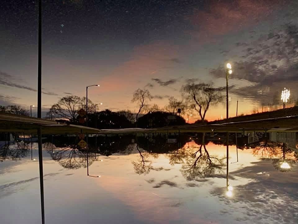 options gypsy tweet media