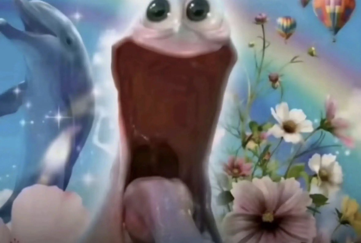 ۶ৎ KITTY ₍⸍⸌̣ʷ̣̫⸍̣⸌₎ tweet media