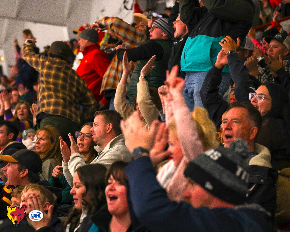 New Mexico Ice Wolves tweet media