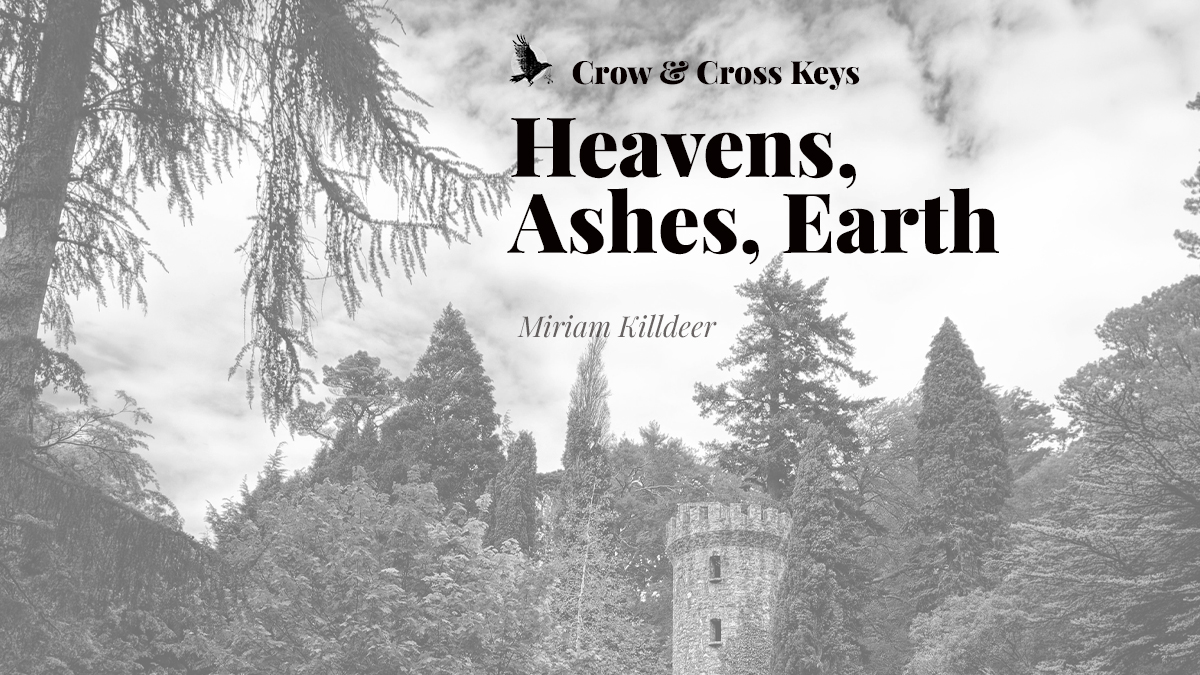 Crow & Cross Keys | SUBS OPEN tweet media