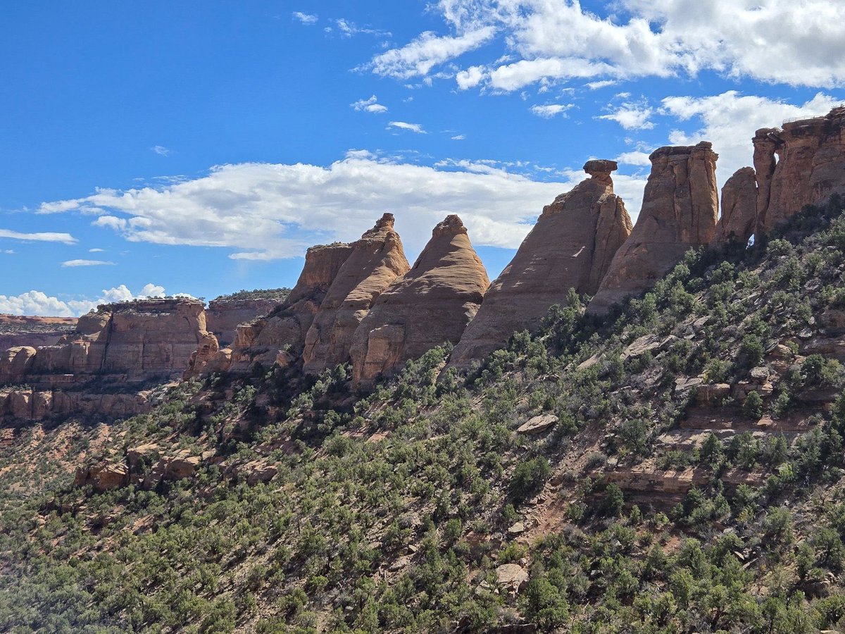 Real Food Traveler tweet media