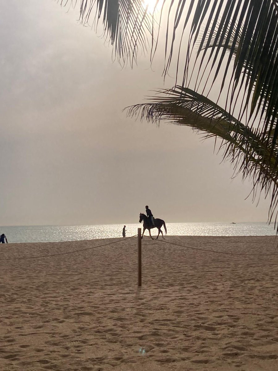 ⭐️ J-Xander ⭐️ tweet media