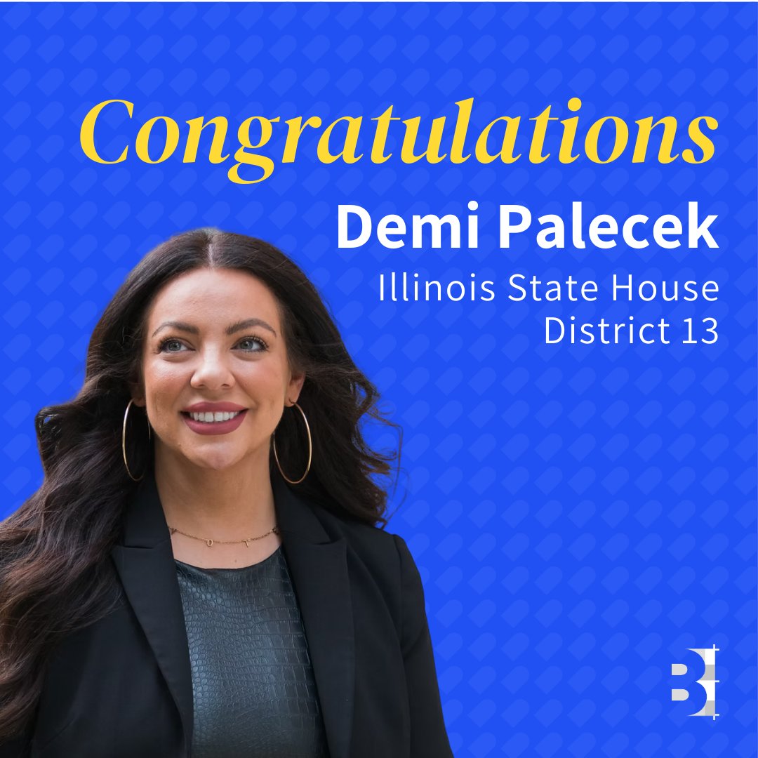 Congratulations, Demi Palecek, on winning the Illinois State House District 13 Democratic primary! We are proud to collaborate with your campaign, <a href="/ztoaresearch/">Z to A Research</a>, and Pivot team to power this win together.