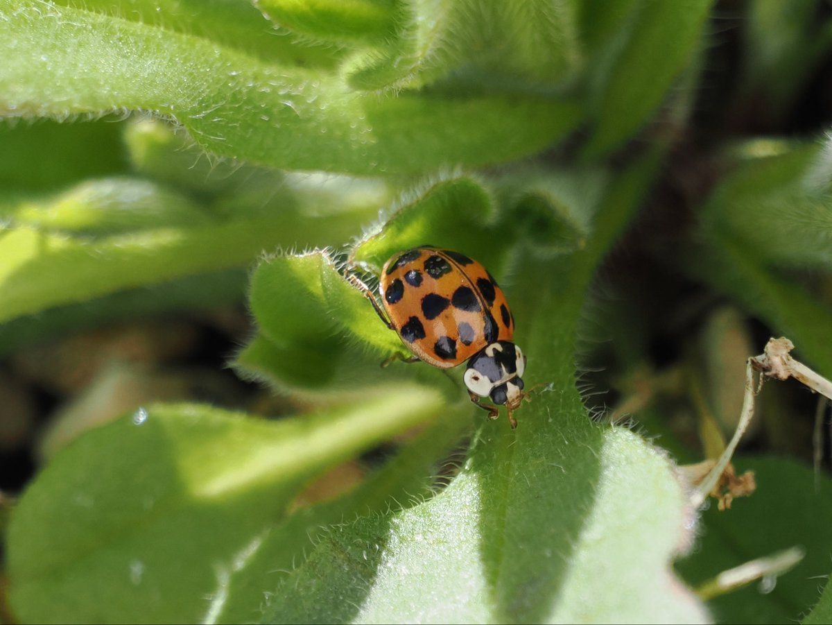 Deena Sharp tweet media