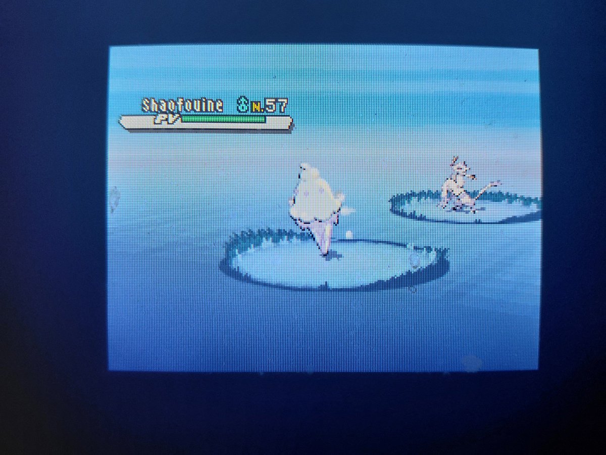 Mika__SH's tweet photo. 182✨️

Puisqu'un shiny n'arrive jamais seul. Voici Sorboul shiny obtenu sur Blanche 2 en 28.548 rencontres en Phase 1, la cible qui tombe direct ca c’est bien et je vais toujours pas taper les 30k en fait ! Juste trop content de pas phaser en fait !

#SHLS14 https://t.co/qHukoDa7De