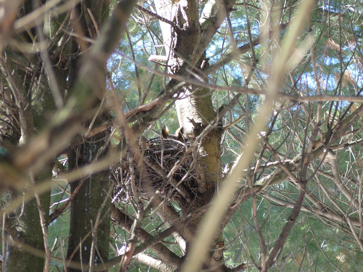 Credit Valley Conservation tweet media