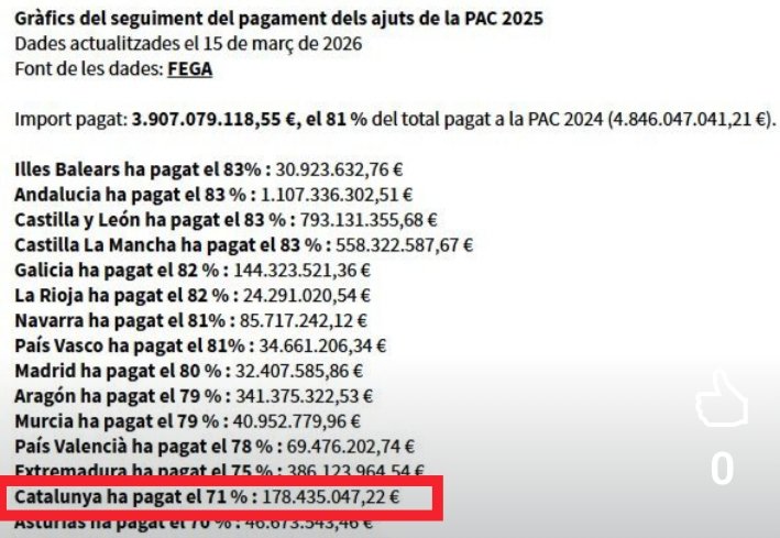 Carles Folch 🎗 tweet media
