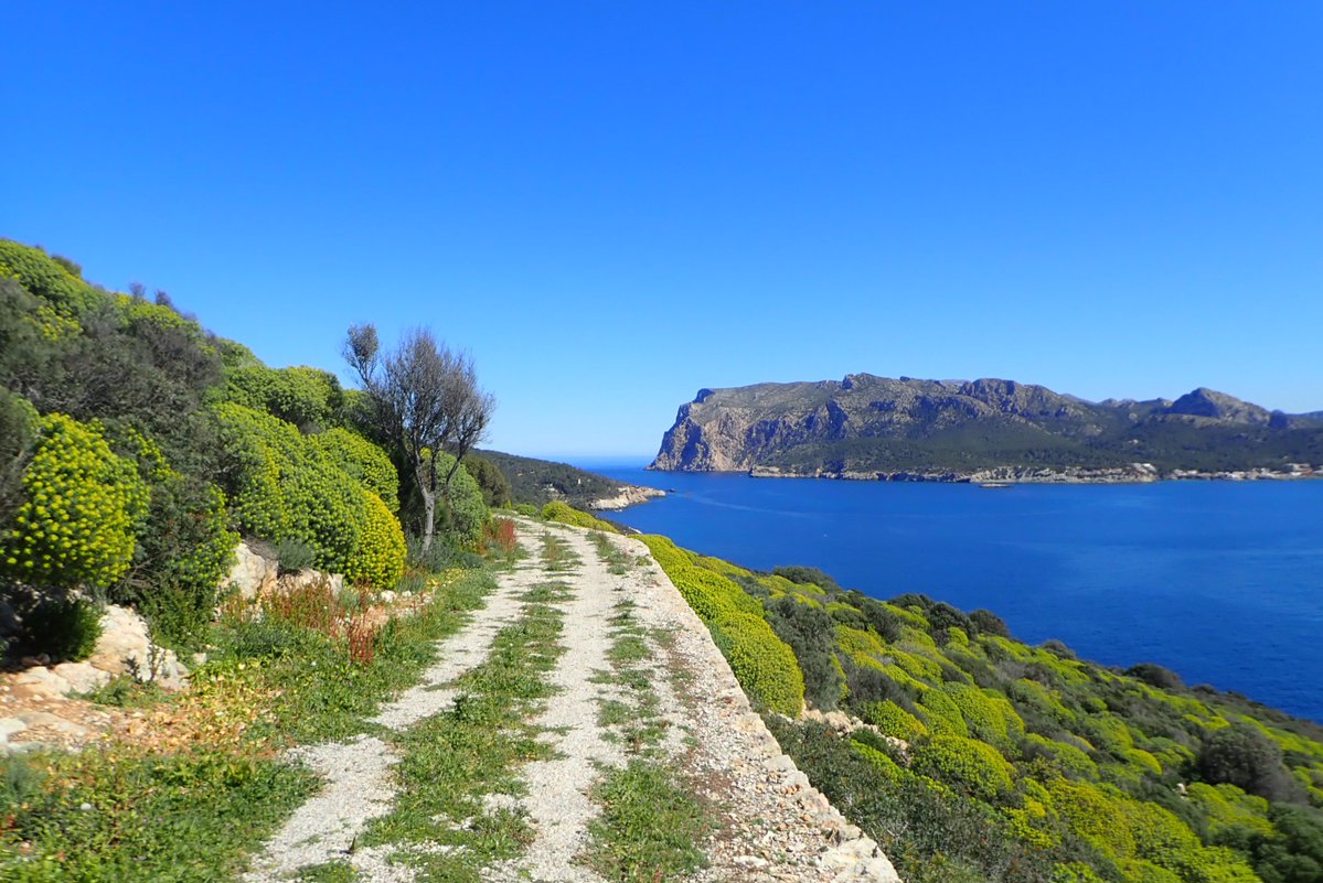 El temps IB3 tweet media