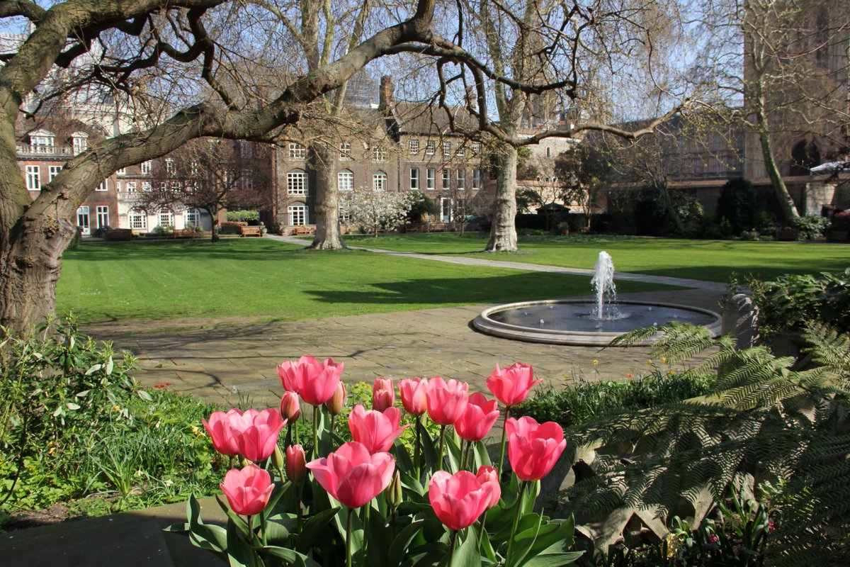 Westminster Abbey tweet media