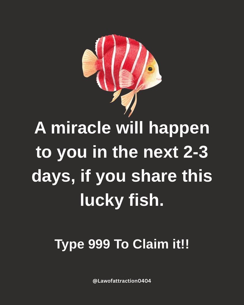 ProgressCode🌺 tweet media