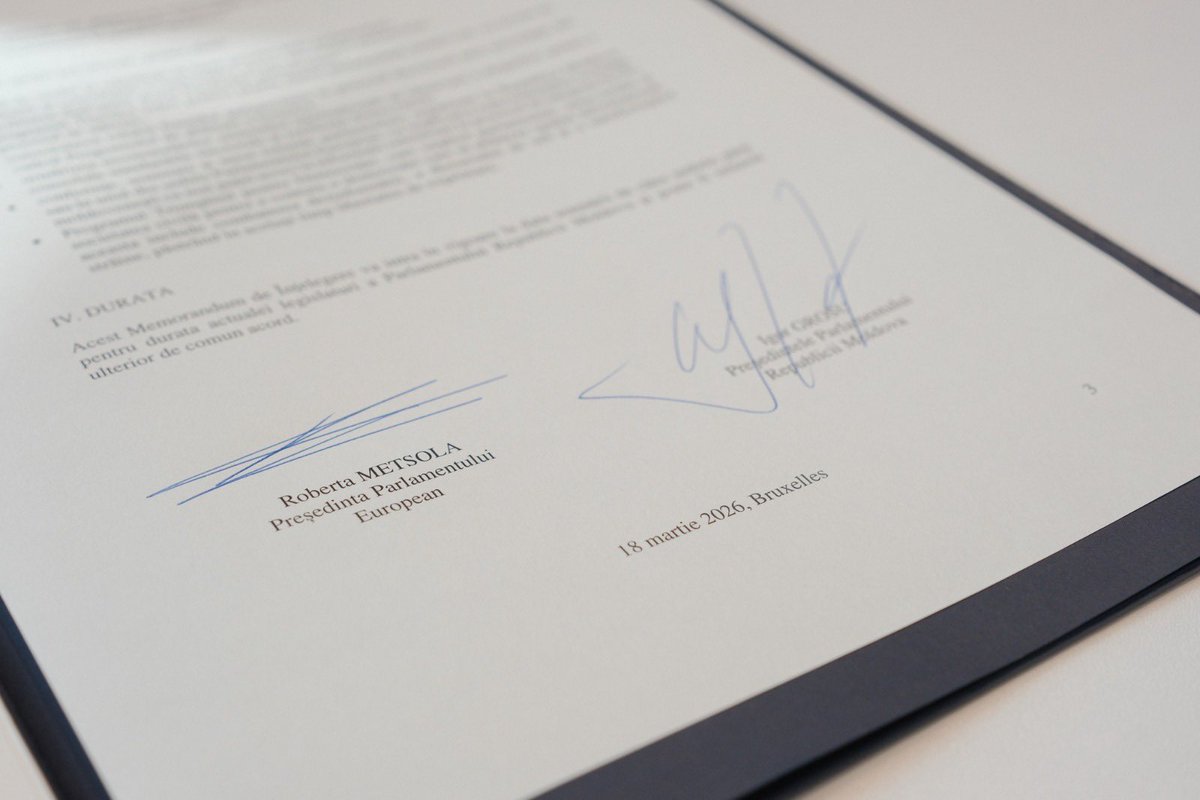 Daniela Morari tweet media