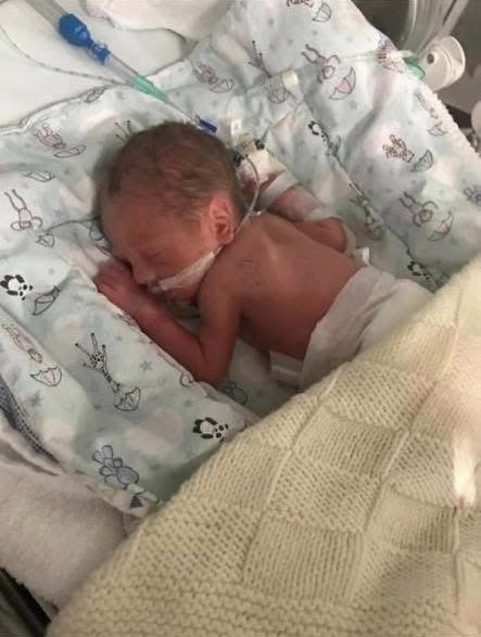 Connie Dunlop tweet media