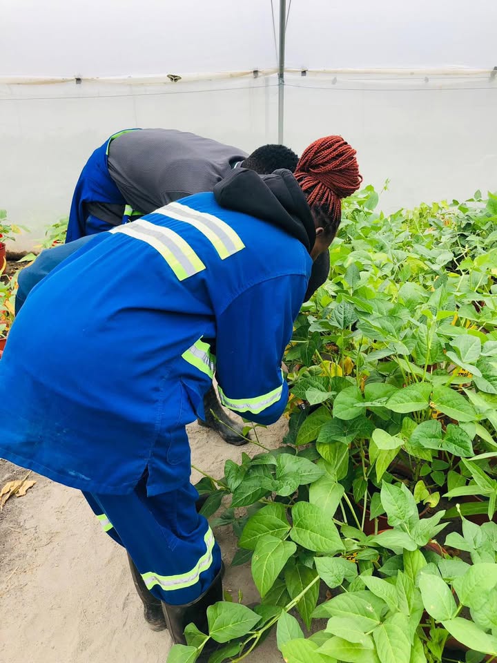 African Education Program (AEP) tweet media