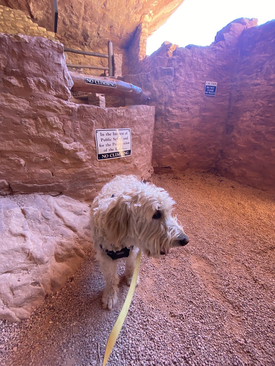 Aaron Thompson 🎥 tweet media