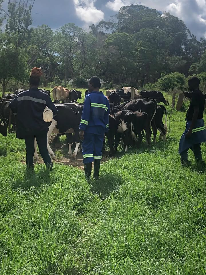 African Education Program (AEP) tweet media