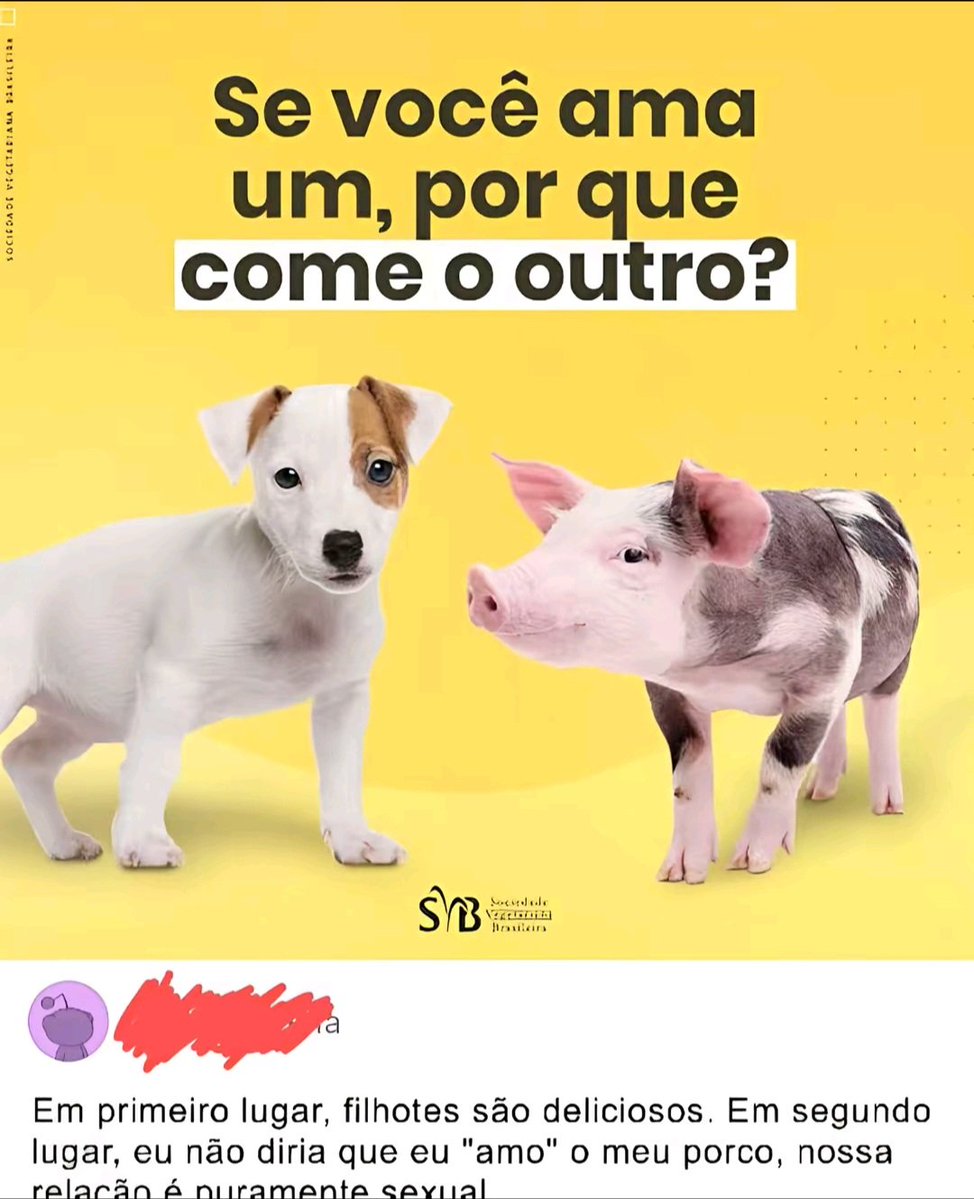 feijão com farinha tweet media