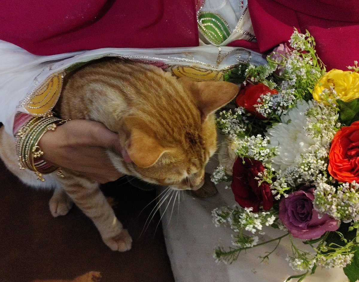 Rakhshan 💫 tweet media