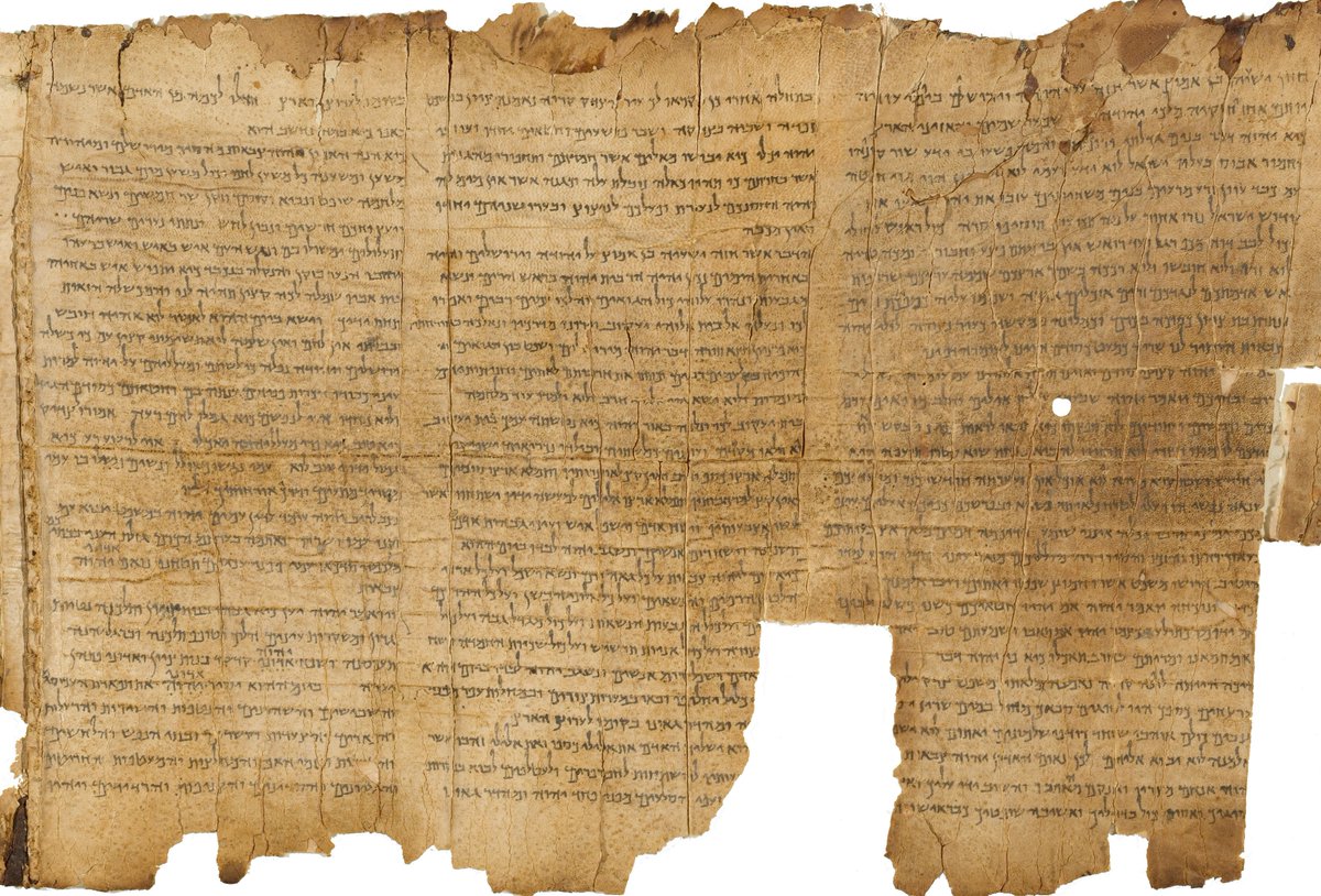 The Bible and Interpretation tweet media