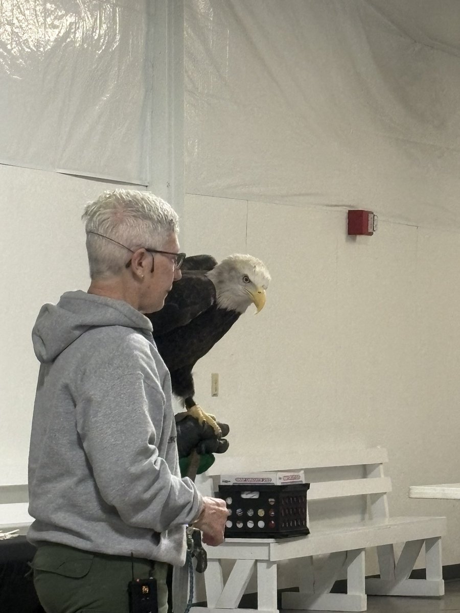 Shelli Mueller tweet media