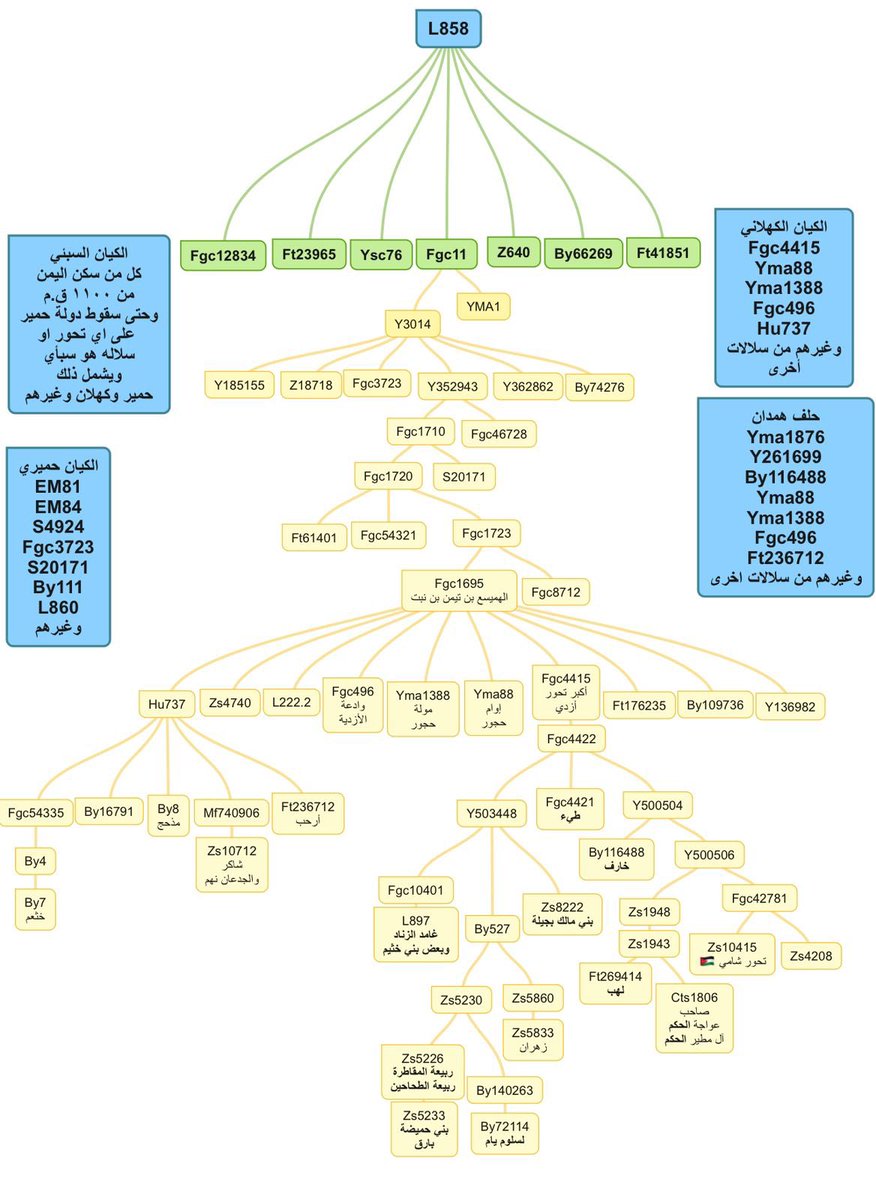 عبدالله بن منصور tweet media