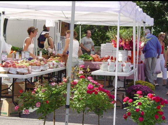 Slaughter. tweet media