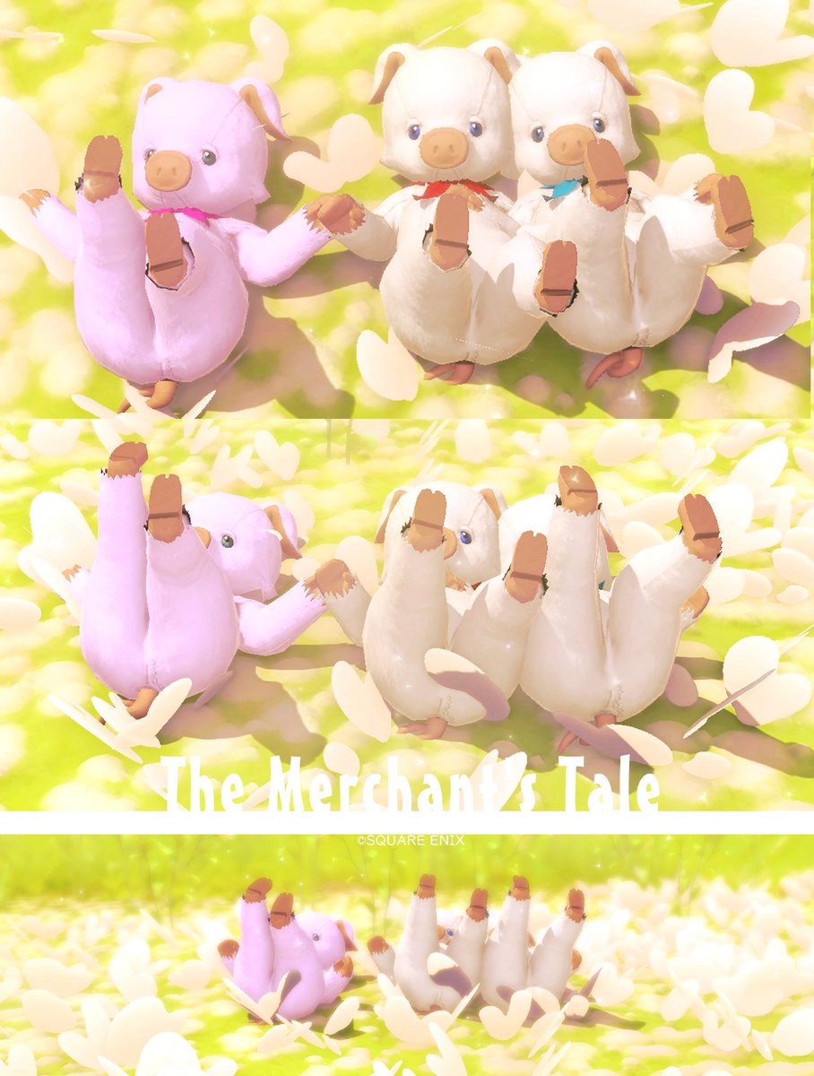 見きれるカイ |🐽˙) tweet media