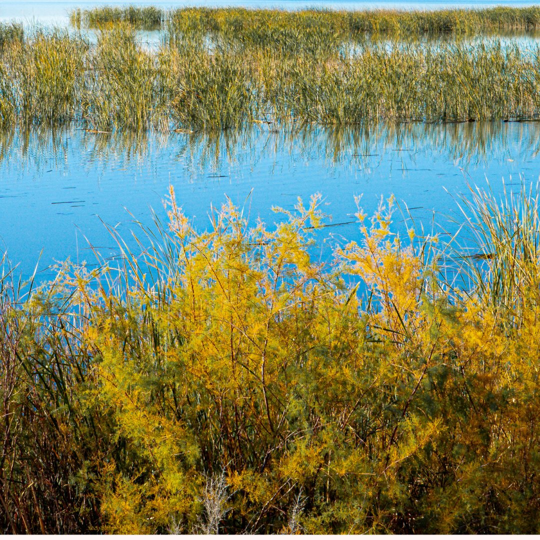 Visit Fallon tweet media