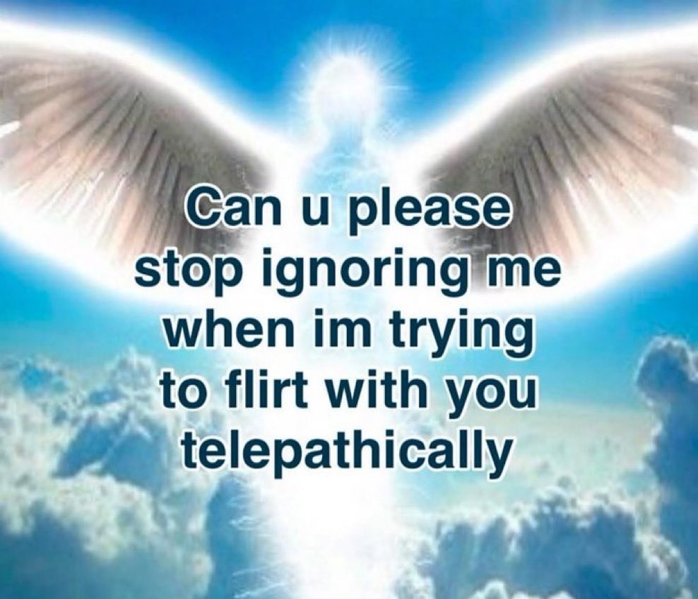 oak-feather tweet media